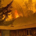 Comment protéger sa maison d’un feu de forêt
